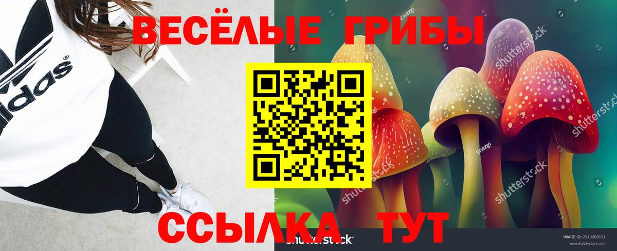 Можга  Псилоцибиновые грибы Psilocybine cubensis  Вход с VPN 
